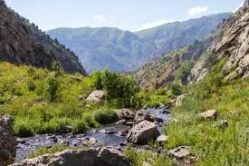 Mountain stream in Nuratau Mountains near Tashkent, Uzbekistan